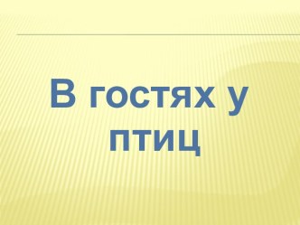 В гостях у птиц