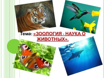 Зоология - наука о животных