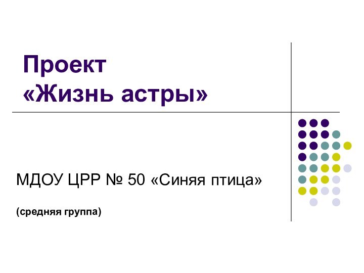 Проект  «Жизнь астры»МДОУ ЦРР № 50 «Синяя птица»(средняя группа)