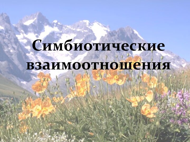 Симбиотические взаимоотношения