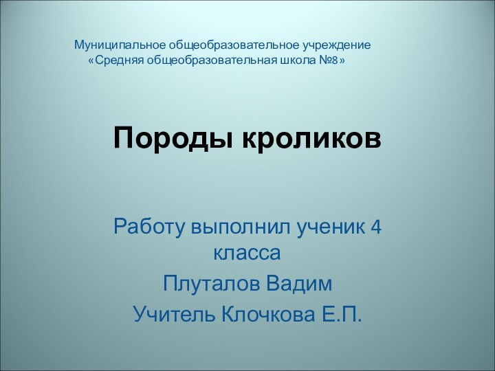 Породы кроликов Работу выполнил ученик 4 классаПлуталов Вадим Учитель Клочкова Е.П.Муниципальное общеобразовательное