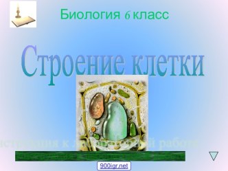 Строение клетки