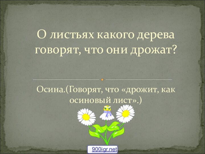 О листьях какого дерева говорят, что они дрожат?Осина.(Говорят, что «дрожит, как осиновый лист».)