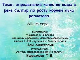 Определение качества воды в реке Салгир по росту корней лука репчатого