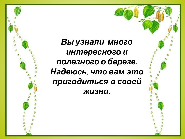 Вы узнали много интересного и полезного о березе. Надеюсь, что вам это пригодиться в своей жизни.  