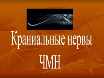 Краниальные нервы ЧМН