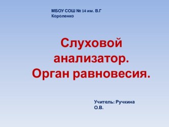 Слуховой анализатор. Орган равновесия