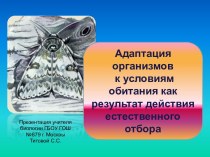 АДАПТАЦИЯ ОРГАНИЗМОВ К УСЛОВИЯМ ОБИТАНИЯ КАК РЕЗУЛЬТАТ ДЕЙСТВИЯ ЕСТЕСТВЕННОГО ОТБОРА