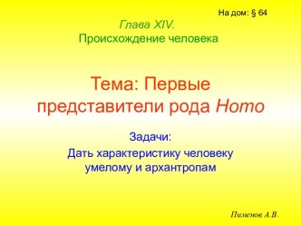 Первые представители рода Homo