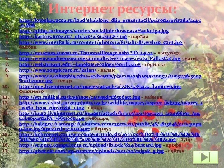 Интернет ресурсы:http://lotoskay.ucoz.ru/load/shablony_dlja_prezentacij/priroda/priroda/144-1-0-3816http://qhhq.ru/images/stories/socialjnie/krasnaya%20kniga.jpghttp://kartiny.ucoz.ru/_ph/540/2/915744787.jpg - нарвал http://www.interfotki.ru/content/photo/12/81/128148/3wvb40_cont.jpg - байбак http://museum.stavsu.ru/ThumnailImage.ashx?ID=14022 – выхухоль http://www.sandiegozoo.org/animalbytes/images/gotq_PallasCat.jpg -