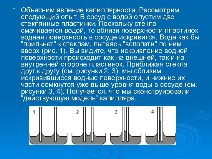 Объясним явление капиллярности. Рассмотрим следующий опыт. В сосуд с водой опустим две