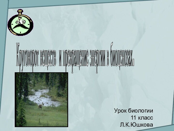 Урок биологии11 классЛ.К.ЮшковаКруговорот веществ и превращение энергии в биоценозах.