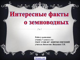 Представители земноводных