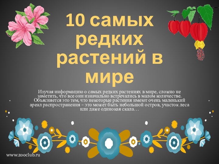 10 самых редких растений в миреИзучая информацию о самых редких растениях в