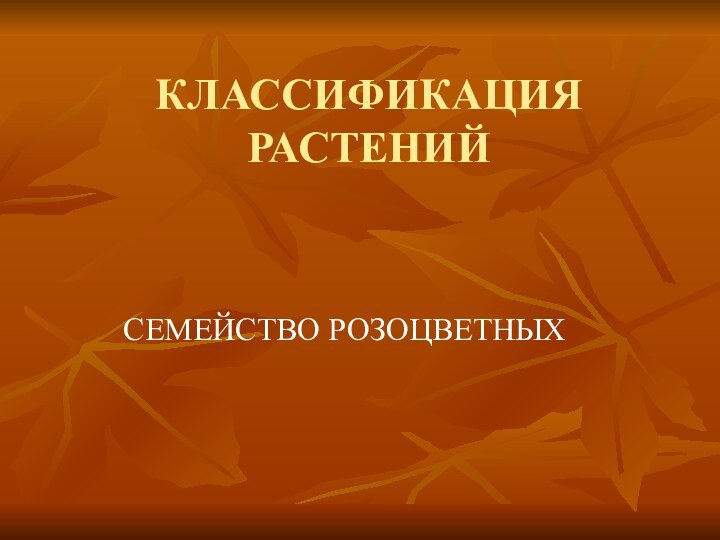 КЛАССИФИКАЦИЯ РАСТЕНИЙСЕМЕЙСТВО РОЗОЦВЕТНЫХ