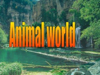 Animal world