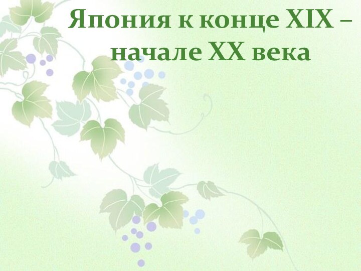 Япония к конце XIX – начале XX века