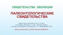 Палеонтологические свидетельства єволюции