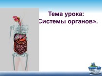 Презентация -Системы органов-