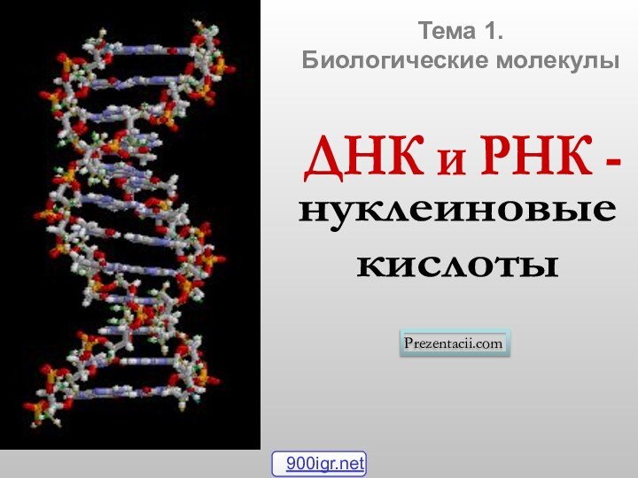 Тема 1. Биологические молекулыPrezentacii.com