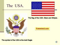 THE FLAG OF THE USA - STARS AND STRIPES