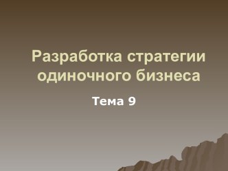 Разработка стратегии одиночного бизнеса