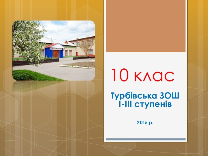 10 класТурбівська ЗОШ І-ІІІ ступенів2015 р.