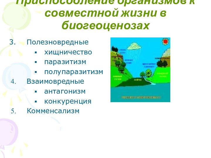 Приспособление организмов к совместной жизни в биогеоценозахПолезновредные хищничествопаразитизмполупаразитизм Взаимовредныеантагонизмконкуренция Комменсализм