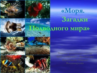 Моря. Загадки Подводного мира