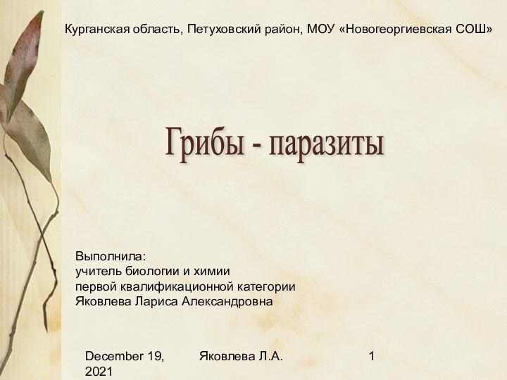 December 19, 2021Яковлева Л.А.Курганская область, Петуховский район, МОУ «Новогеоргиевская СОШ»Выполнила:учитель биологии и