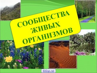 Сообщества живых организмов