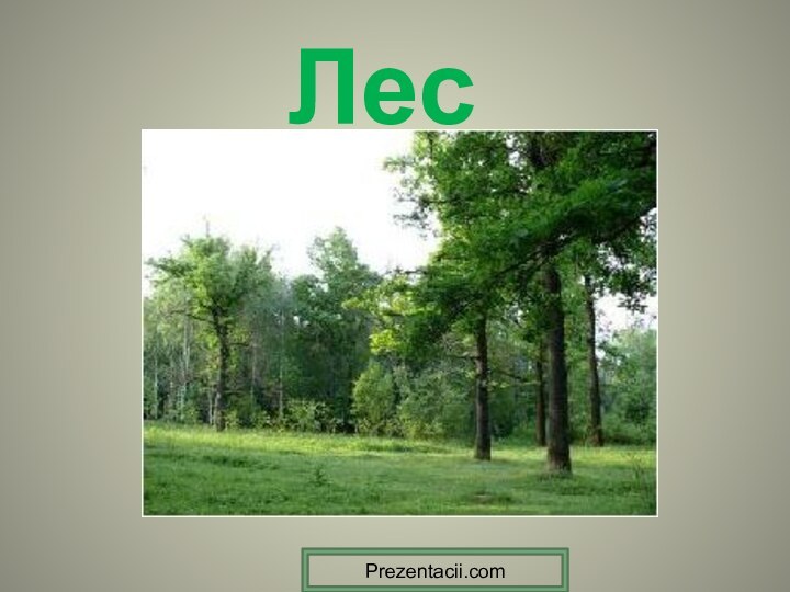 ЛесPrezentacii.com