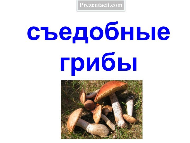 съедобные грибыPrezentacii.com