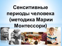 Сенситивные периоды человека (методика Марии Монтессори)