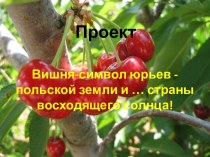 Вишня-символ юрьев - польской земли и … страны восходящего солнца!