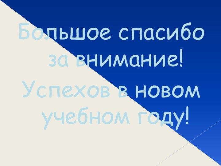 Большое спасибо за внимание!Успехов в новом учебном году!