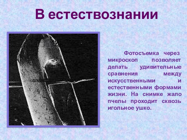 В естествознании   Фотосъемка через микроскоп позволяет делать удивительные сравнения между