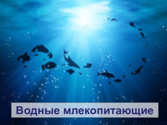 Водные млекопитающие