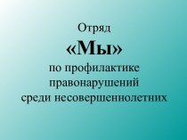 Отряд по профилактике правонарушений среди несовершеннолетних