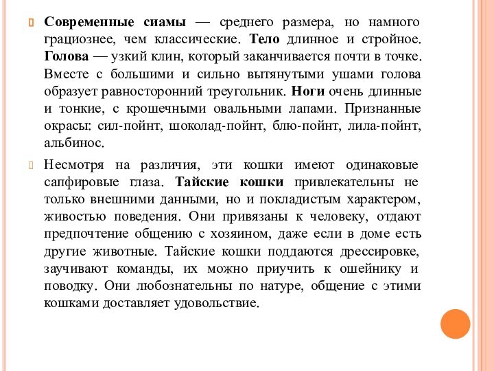 Современные сиамы — среднего размера, но намного грациознее, чем классические. Тело длинное