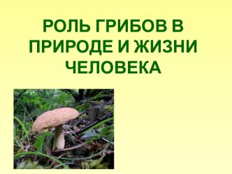 Роль грибов в природе и жизни человека