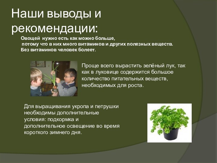 Наши выводы и рекомендации:Проще всего вырастить зелёный лук, так как в луковице