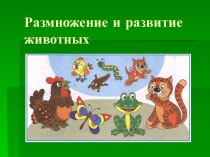 Размножение и развитие животных