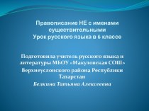 Правописание НЕ с именами существительными Урок русского языка в 6 классе