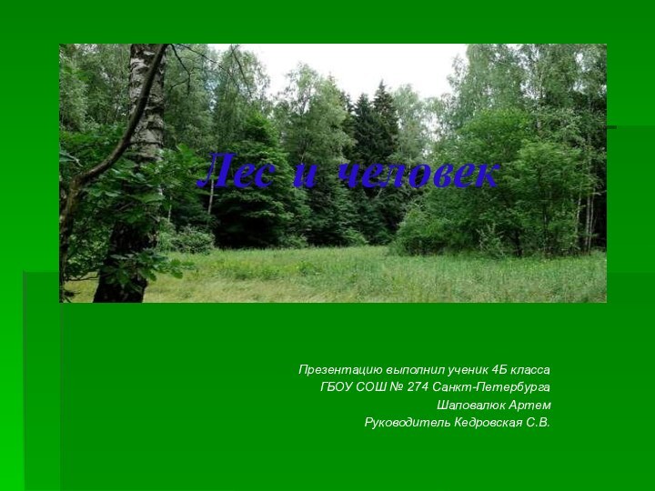 Лес и человекПрезентацию выполнил ученик 4Б классаГБОУ СОШ № 274 Санкт-ПетербургаШаповалюк АртемРуководитель Кедровская С.В.