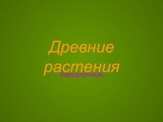 Древние растения. Папоротник