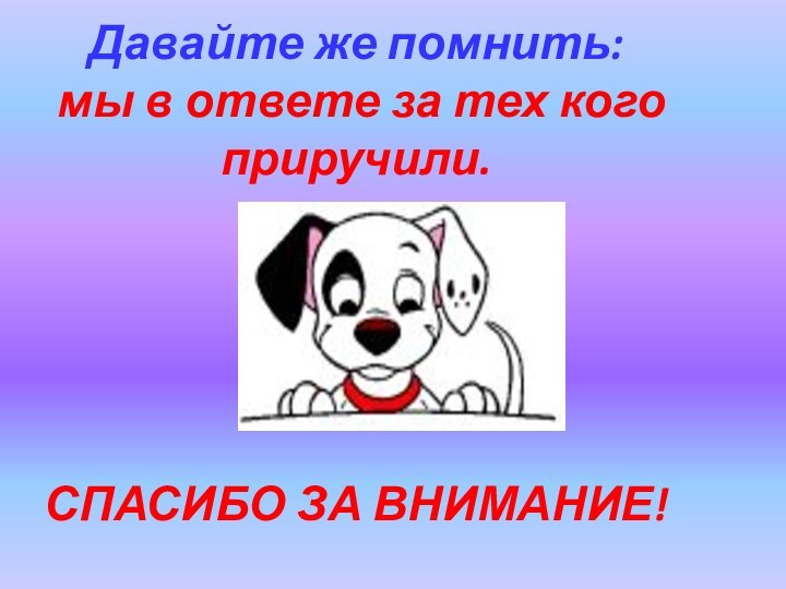 Давайте же помнить:  мы в ответе за тех кого приручили.