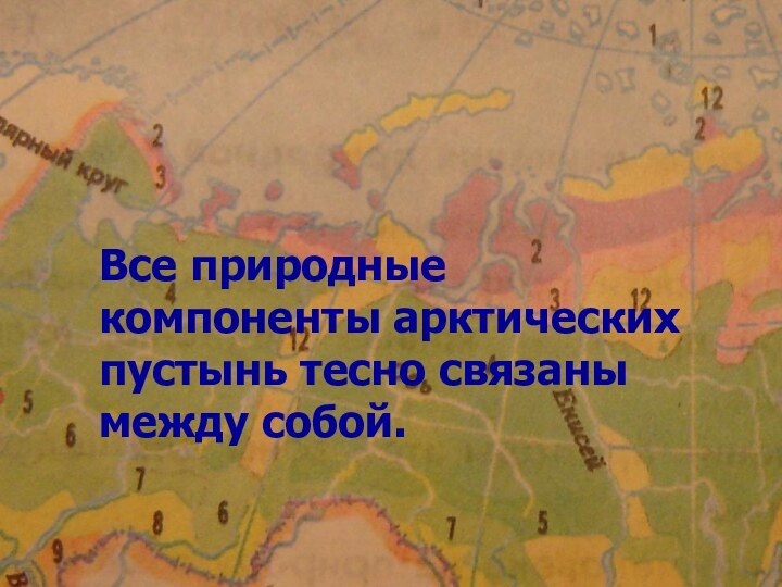 Все природные компоненты арктических пустынь тесно связаны между собой.