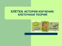 Клетка История изучения Клеточная теория