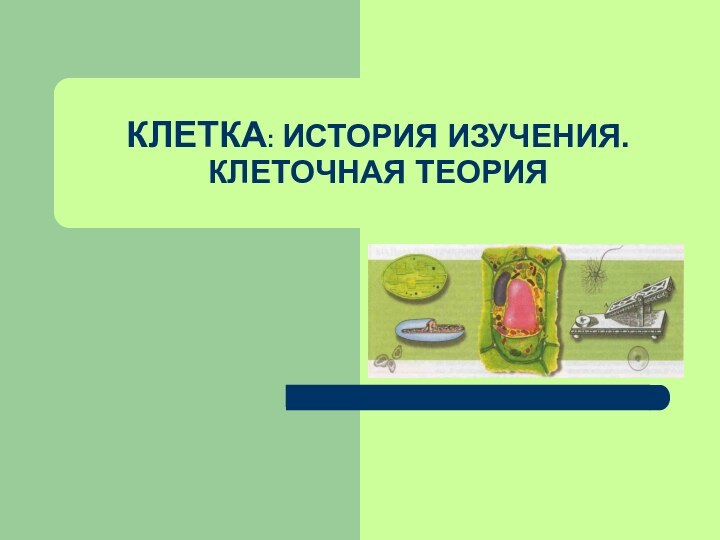 КЛЕТКА: ИСТОРИЯ ИЗУЧЕНИЯ. КЛЕТОЧНАЯ ТЕОРИЯ